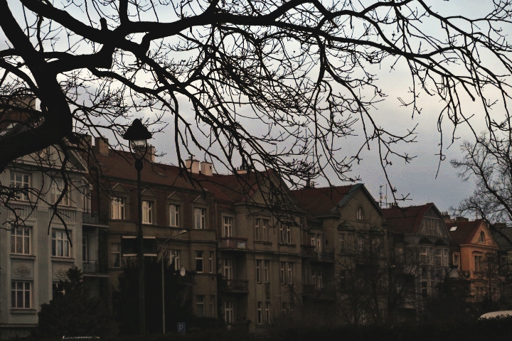 IMG_1100 světlejší